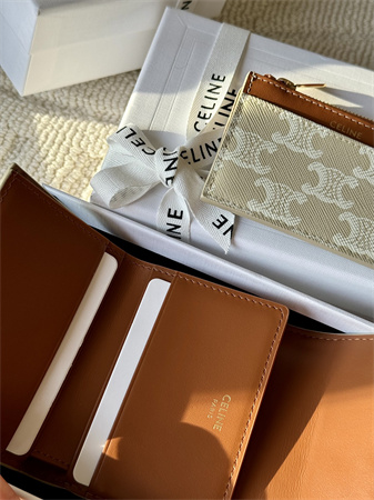 Celine COMPACT WALLET WITH COIN In TRIOMPHE Canvas