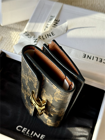 Celine COMPACT WALLET WITH COIN In TRIOMPHE Canvas