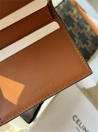 Celine COMPACT WALLET WITH COIN In TRIOMPHE Canvas