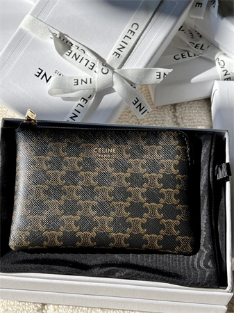 Celine Coin Purse With Printing In TRIOMPHE Canvas