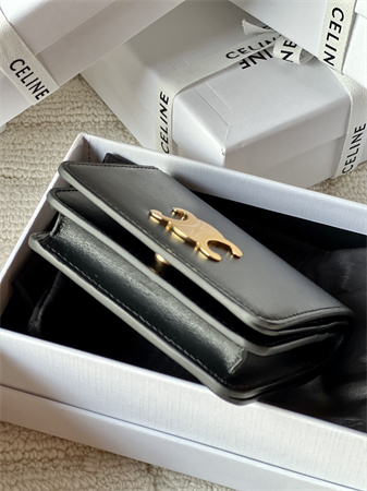 Celine TRIOMPHE COMPACT WALLET in Shiny calfskin Black