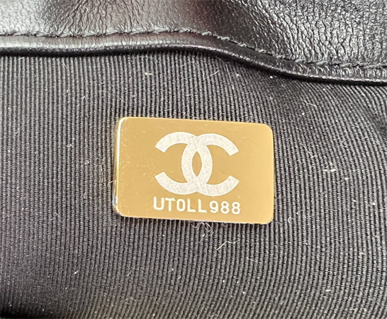 Chanel 19 Bag Tweed Gold Tone Multicolor AS1160