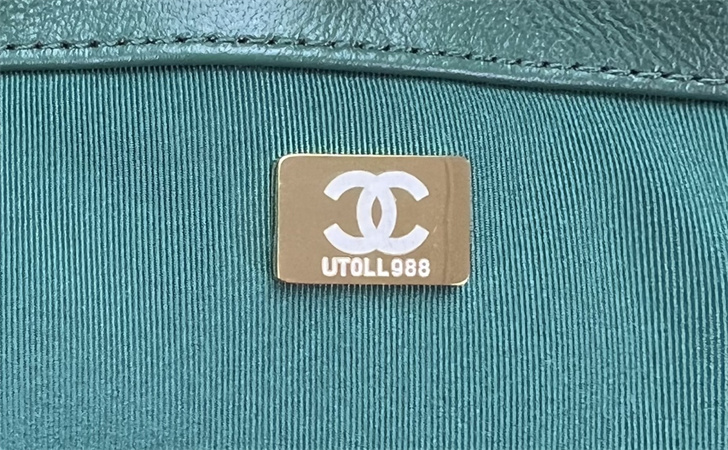 Large Chanel 19 Bag Tweed Gold Tone Multicolor AS1161