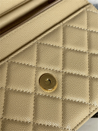 Chanel Wallet On Chain Grained Calfskin Gold Tone Metal Beige AP0250