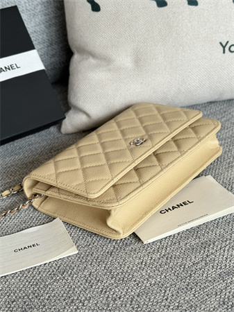 Chanel Wallet On Chain Grained Calfskin Silver Tone Metal Beige AP0250