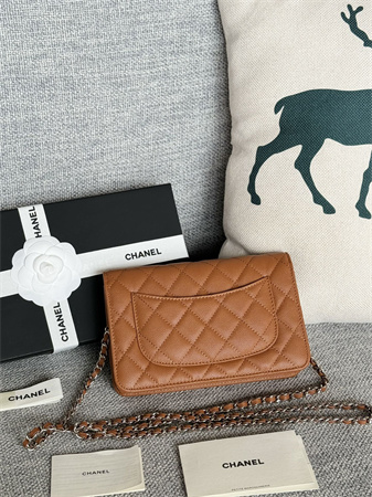 Chanel Wallet On Chain Grained Calfskin Silver Tone Metal Brown AP0250