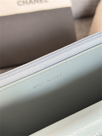 Chanel Wallet On Chain Grained Calfskin Silver Tone Metal Blue AP0250