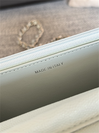 Chanel Wallet On Chain Grained Calfskin Silver Tone Metal Pale Blue AP0250