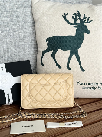 Chanel Wallet On Chain Lambskin Silver Tone Metal Beige AP0250