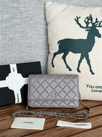 Chanel Wallet On Chain Lambskin Silver Tone Metal Grey AP0250