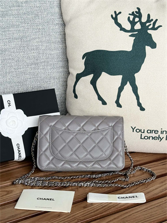 Chanel Wallet On Chain Lambskin Silver Tone Metal Grey AP0250