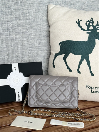 Chanel Wallet On Chain Lambskin Gold Tone Metal Grey AP0250