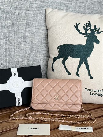 Chanel Wallet On Chain Lambskin Gold Tone Metal Pink AP0250