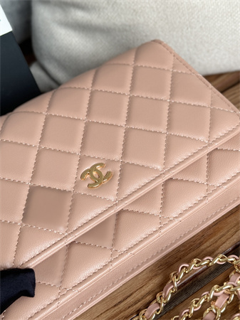 Chanel Wallet On Chain Lambskin Gold Tone Metal Pink AP0250
