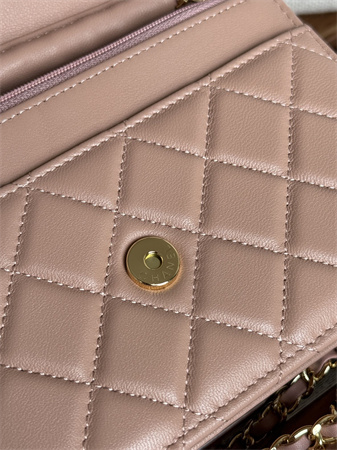 Chanel Wallet On Chain Lambskin Gold Tone Metal Pink AP0250