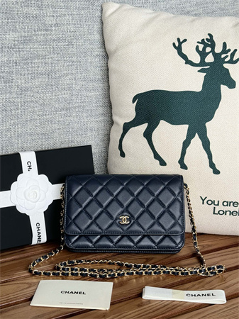 Chanel Wallet On Chain Lambskin Gold Tone Metal Navy AP0250