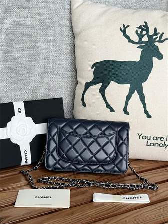 Chanel Wallet On Chain Lambskin Silver Tone Metal Navy AP0250