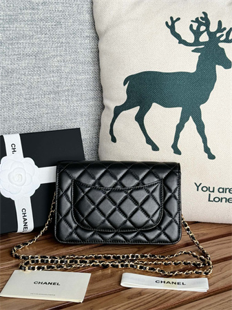 Chanel Wallet On Chain Lambskin Gold Tone Metal Black AP0250