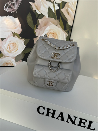 Chanel Duma Backpack Lambskin Gold Tone Metal Grey AS2908
