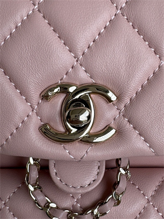 Chanel Duma Backpack Lambskin Gold Tone Metal Pink AS2908