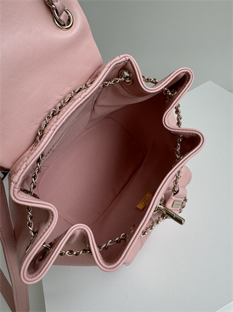 Chanel Duma Backpack Lambskin Gold Tone Metal Pink AS2908