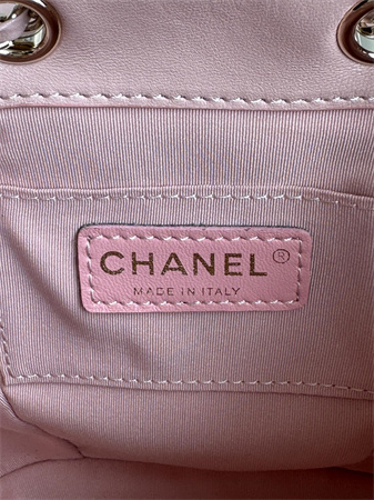 Chanel Duma Backpack Lambskin Gold Tone Metal Pink AS2908
