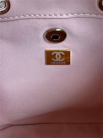 Chanel Duma Backpack Lambskin Gold Tone Metal Pink AS2908