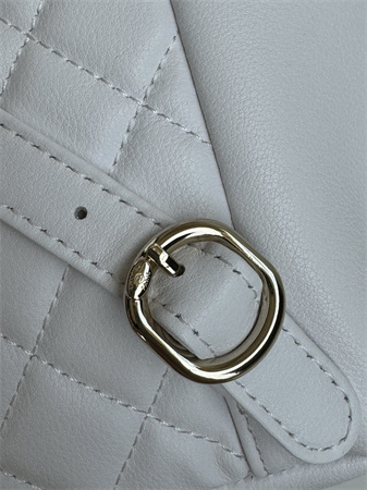 Chanel Duma Backpack Grained Calfskin Gold Tone Metal White AS3618