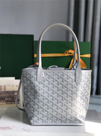 Goyard Anjou Mini Bag Chevroches Calfskin & Goyardine Canvas