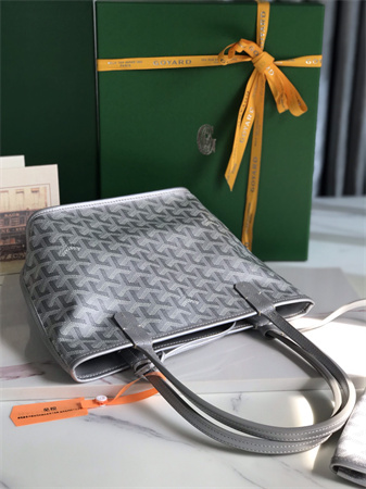 Goyard Anjou Mini Bag Chevroches Calfskin & Goyardine Canvas