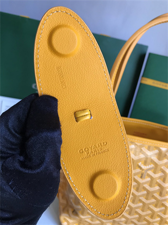 Goyard Anjou Mini Bag Chevroches Calfskin & Goyardine Canvas