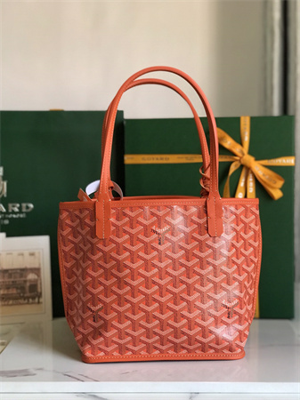 Goyard Anjou Mini Bag Chevroches Calfskin & Goyardine Canvas