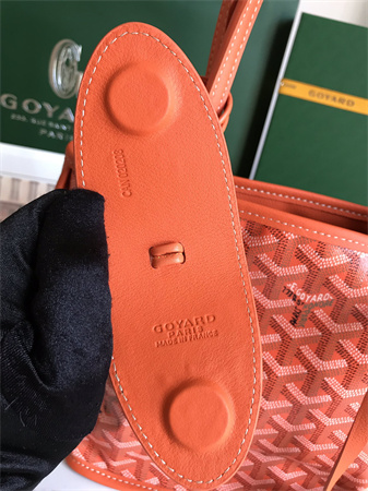 Goyard Anjou Mini Bag Chevroches Calfskin & Goyardine Canvas