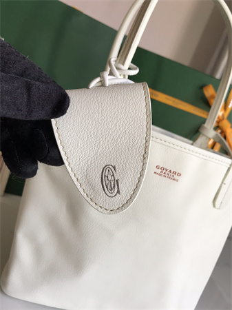 Goyard Anjou Mini Bag Chevroches Calfskin & Goyardine Canvas