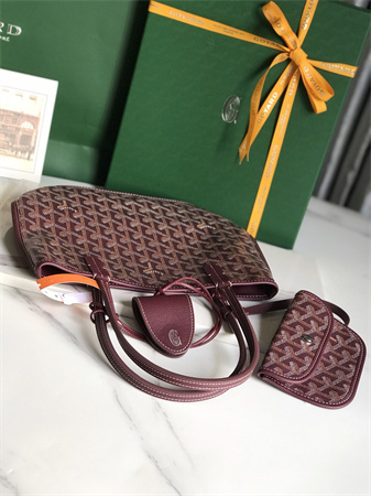 Goyard Anjou Mini Bag Chevroches Calfskin & Goyardine Canvas