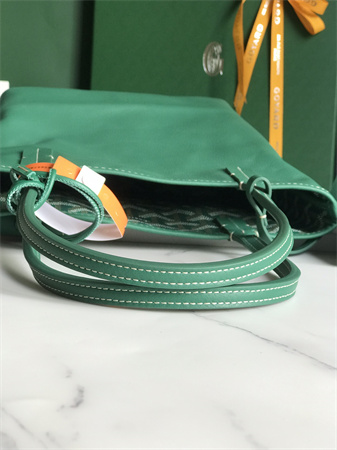 Goyard Anjou Mini Bag Chevroches Calfskin & Goyardine Canvas