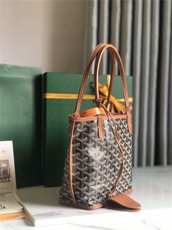 Goyard Anjou Mini Bag Chevroches Calfskin & Goyardine Canvas