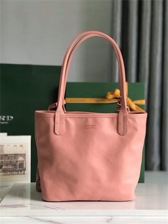 Goyard Anjou Mini Bag Chevroches Calfskin & Goyardine Canvas