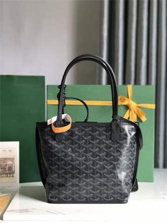 Goyard Anjou Mini Bag Chevroches Calfskin & Goyardine Canvas