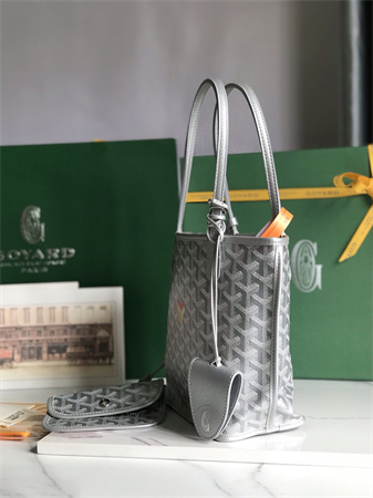 Goyard Anjou Mini Bag Chevroches Calfskin & Goyardine Canvas
