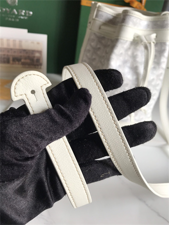 Goyard Petit Flot Bucket Bag Goyardine Canvas & Chevroches Calfskin