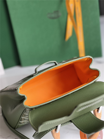 Goyard Saigon Souple Mini Bag Goyardine Canvas & Chevroches Calfskin