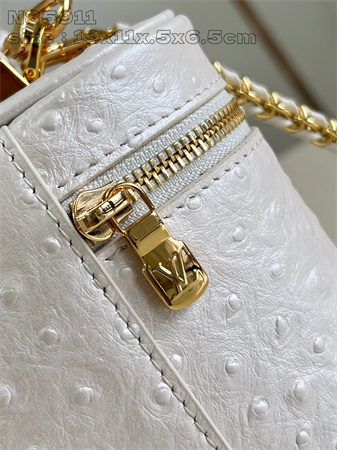 L.V Vanity Chain Pouch Ostrich leather White N85820