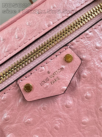 L.V Vanity Chain Pouch Ostrich leather Pink N85820