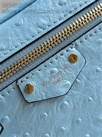 L.V Vanity Chain Pouch Ostrich Leather Blue N85820