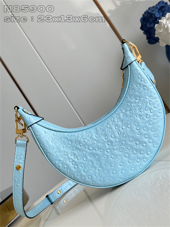 L.V Loop Handbag Ostrich leather Blue N85900