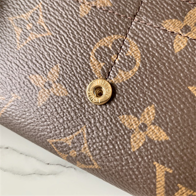 L.V Sarah Wallet Monogram Canvas Inside Brown M60531