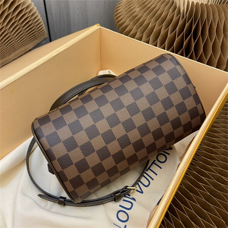 L.V Rivera Bag Damier Ebene Canvas M41436
