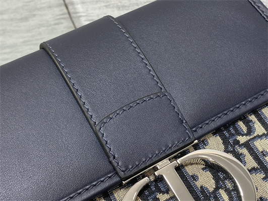 CD 30 Montaigne Bag Blue Oblique Jacquard& Leather