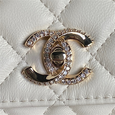 Chanel Clutch with Chain Lambskin, Strass & Gold-Tone Metal White  AP4293